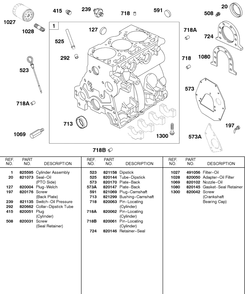 Cylinder, Oil, Back Plates Diagram and Parts List for 589447-0334-XX  Briggs and Stratton Engine